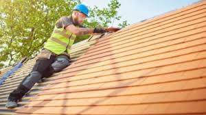 Best Roof Ventilation Installation  in Cavalier, ND