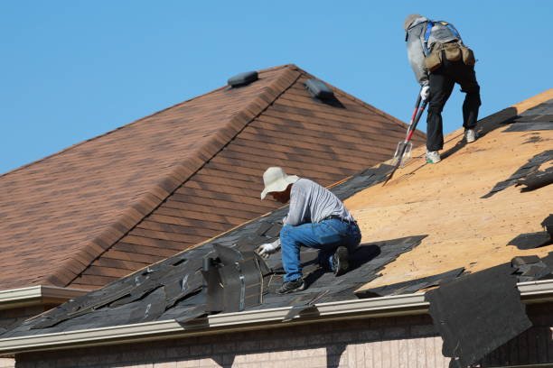 Best Roof Repair  in Cavalier, ND