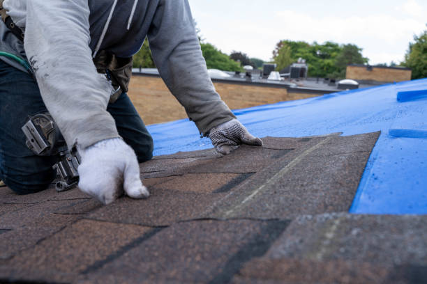 Fast & Reliable Emergency Roof Repairs in Cavalier, ND