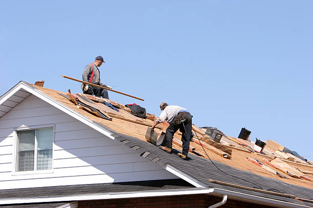 Best Gutter Replacement  in Cavalier, ND