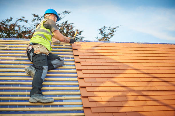 Best Metal Roofing Installation  in Cavalier, ND
